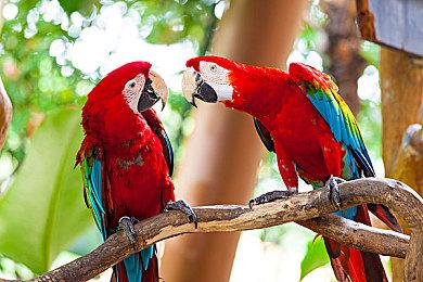 《最终幻想14》7.0版本BUG太多 吉田总监亲自道歉